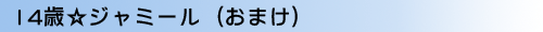 com2omake